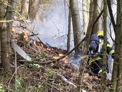 Bild: Waldbrand