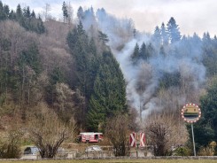 Bild: Waldbrand