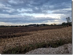 IMG-20201003-WA0012