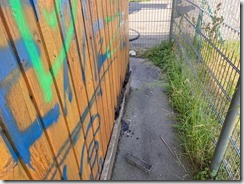 IMG-20210613-WA0003