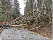 IMG_20200202_080740